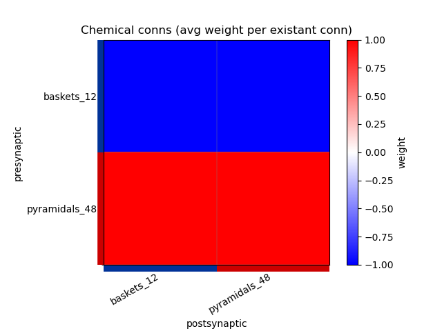 Connectivity matrix generated by pynml - average weight per connection