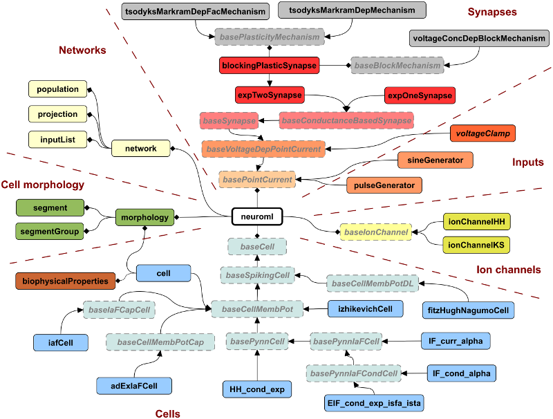 Elements defined in the NeuroML schema, version 2.