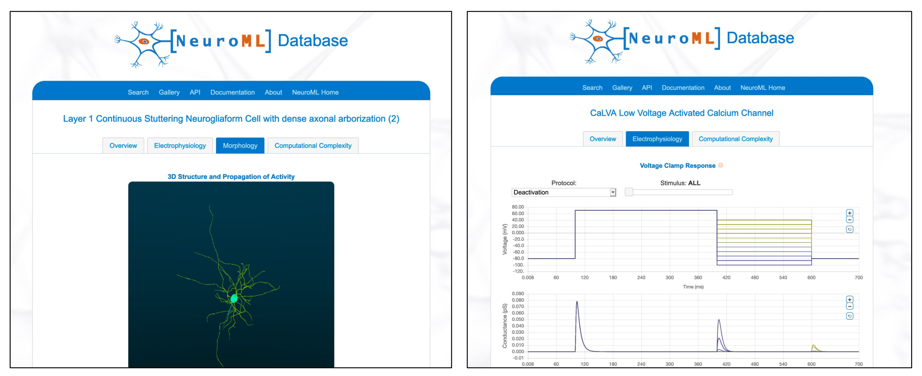 NeuroML Database