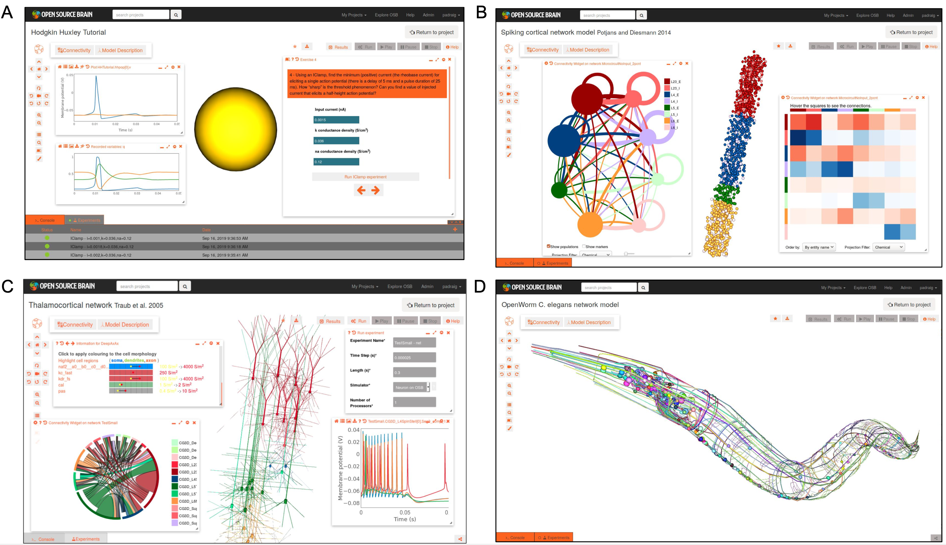 Open Source Brain