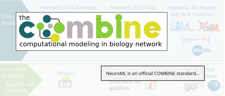 NeuroML is a COMBINE standard.