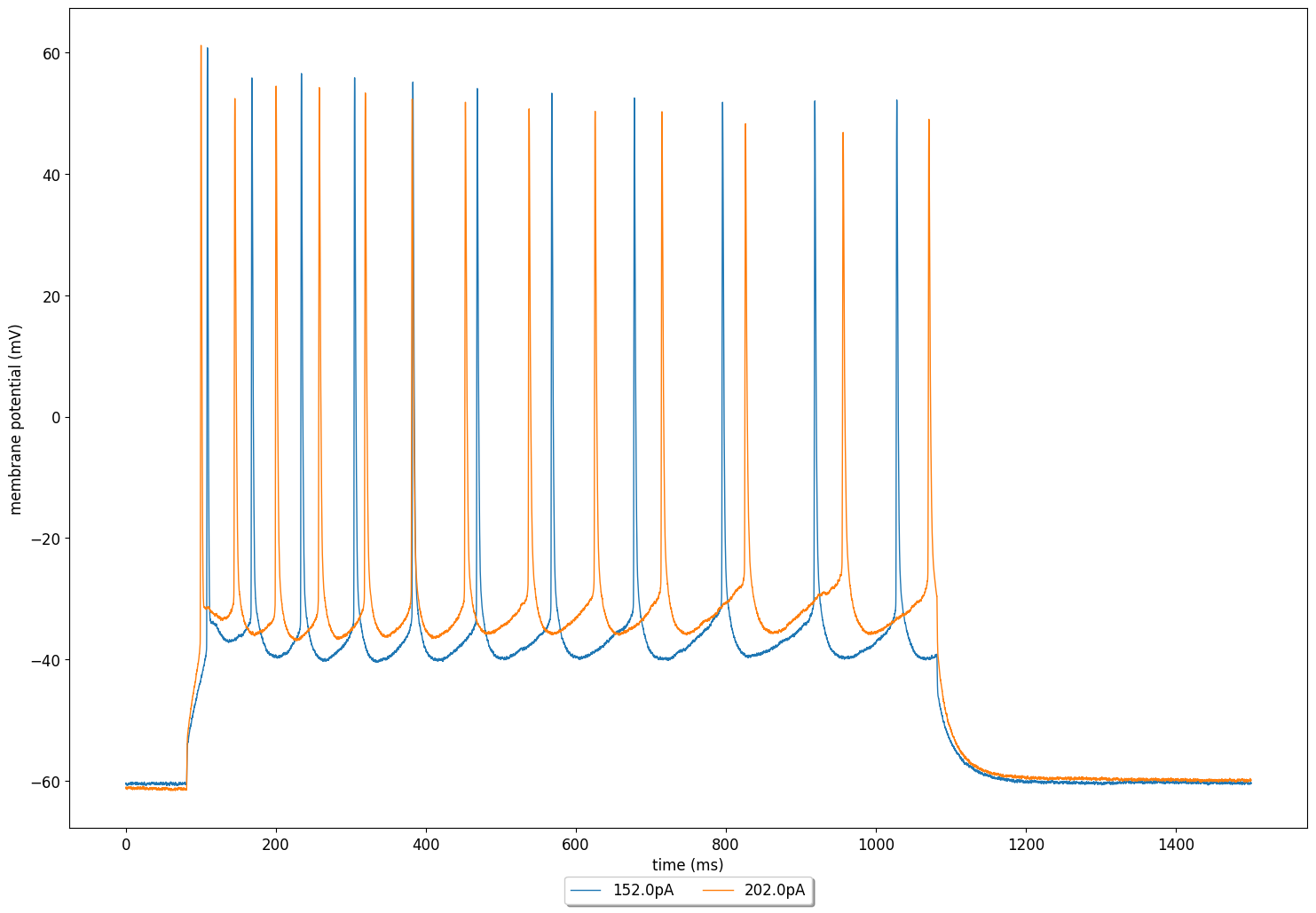 Membrane potential from example experimental data.