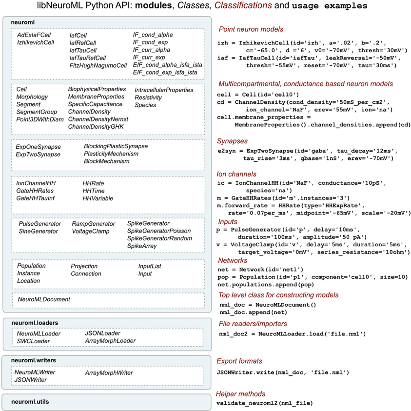 Examples of mapping between Component names in the NeuroML schema and their corresponding libNeuroML Python classes.