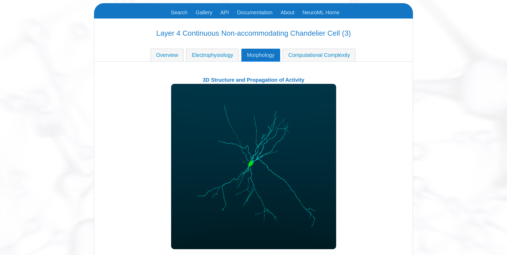 Morphology of cell shown in NeuroML-DB.